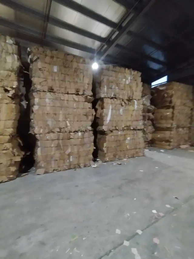 Xem video hoạt động thực tế của công ty